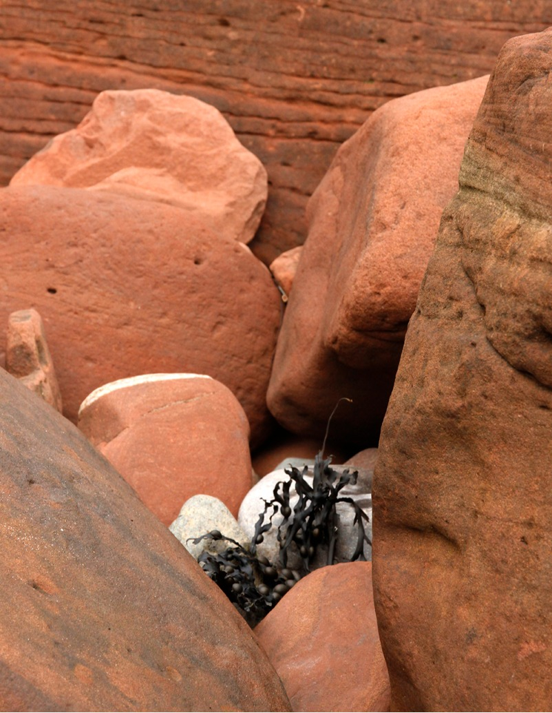 Among the rocks